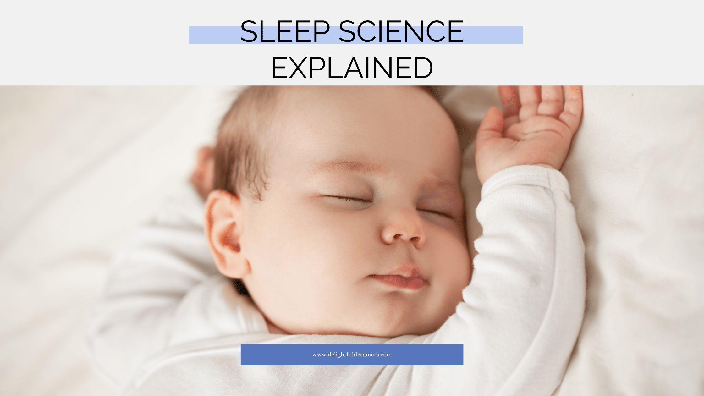 Sleep Science Explained Delightful Dreamers Llc Pediatric Sleep Consulting